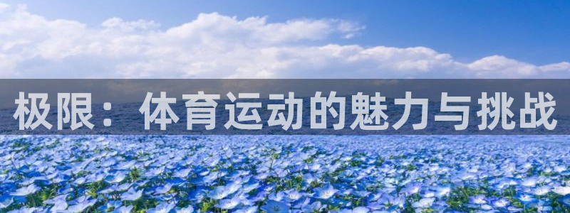 球王会体育