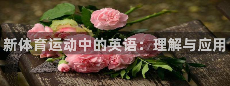球王会体育