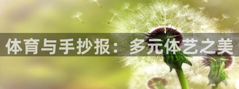 球王会体育