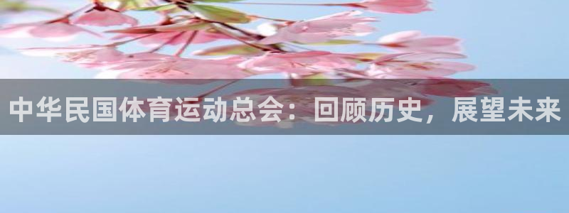 球王会体育
