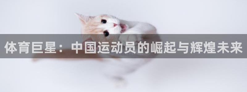 球王会体育