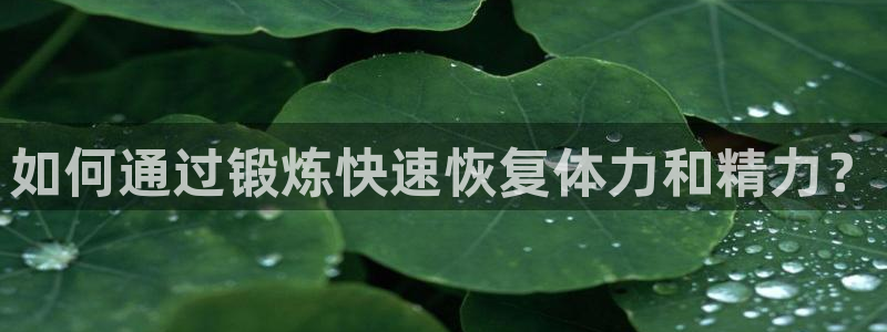 球王会体育