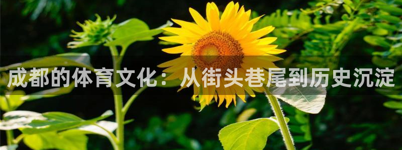 球王会体育