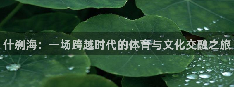 球王会体育