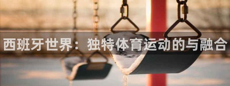 球王会体育