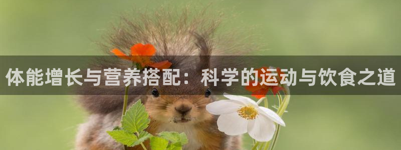 球王会体育