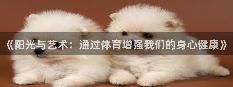 球王会体育