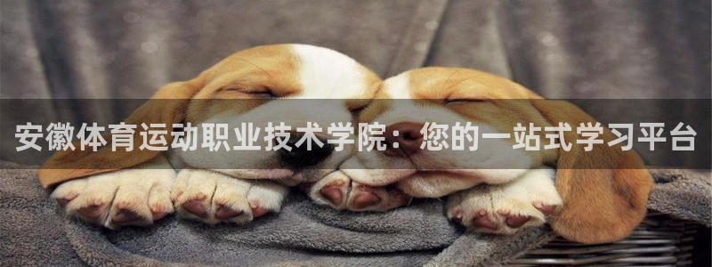 球王会体育